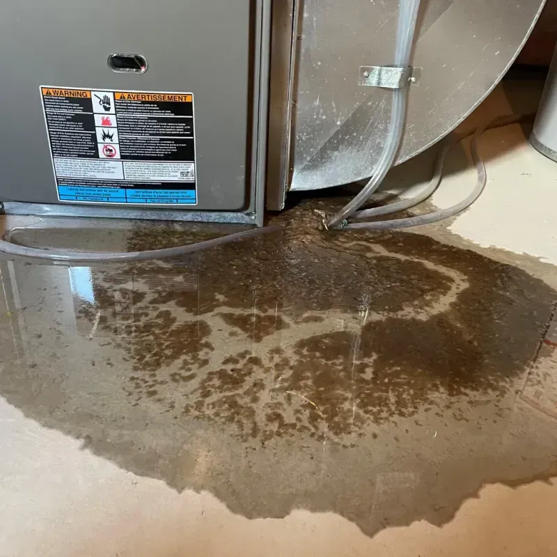 Appliance Leak Cleanup in Mitchellville, MD